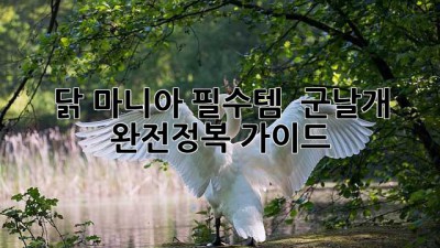 닭 마니아 필수템! 🔥 군날개 완전정복 가이드 🍗