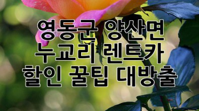 🚗 영동군 양산면 누교리 렌트카 할인 꿀팁 대방출! 🍯