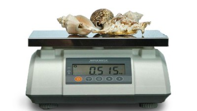 물방개50kg 솔직 후기! ✨ 득템 찬스 놓치지 마세요!